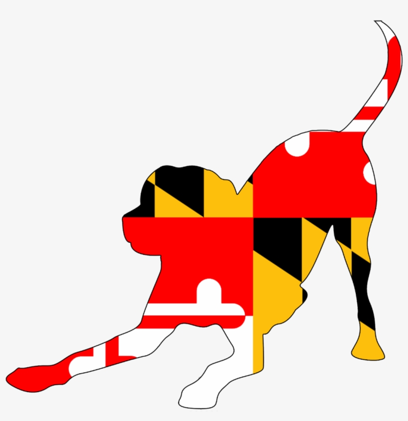 Maryland, transparent png download