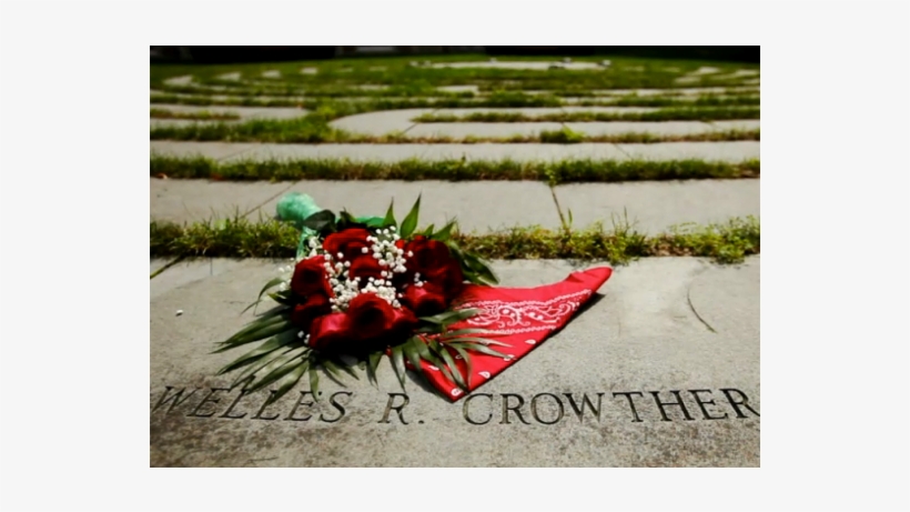 Bandanna1 - Man In The Red Bandana, transparent png download