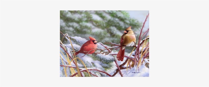 Winter Cardinals - Bradley Jackson A Crisp Winter Day, transparent png download