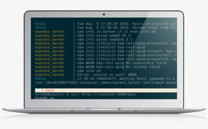 Falco Is An Open Source Project For Intrusion And Abnormality - Falco, transparent png download