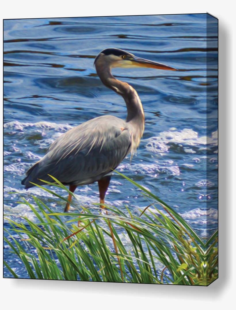 Jpg Free Stock Heron Drawing Watercolor, transparent png download