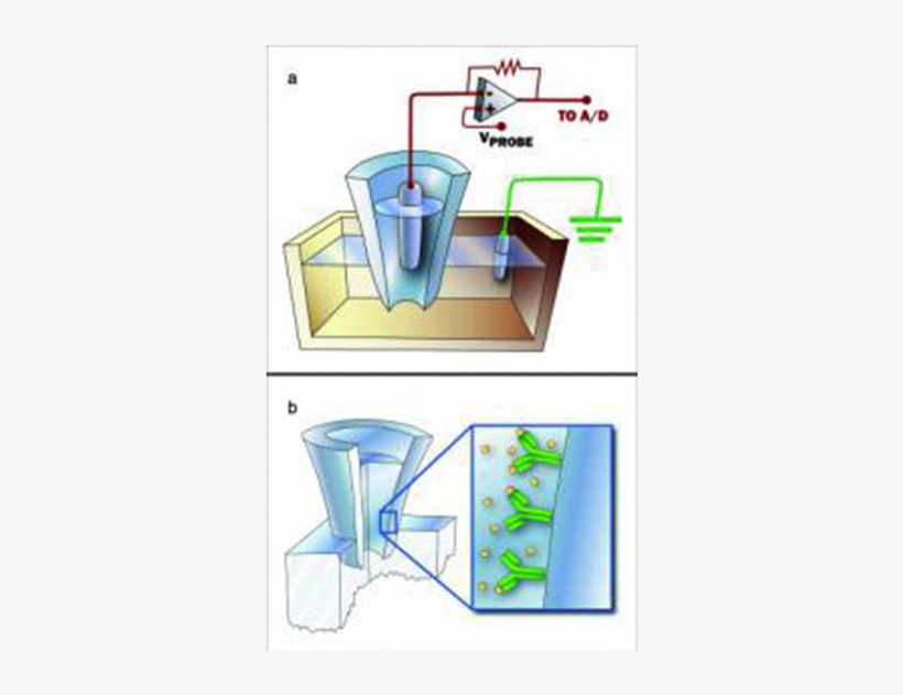 Sting In The World Of Biosensor Technology - Illustration, transparent png download