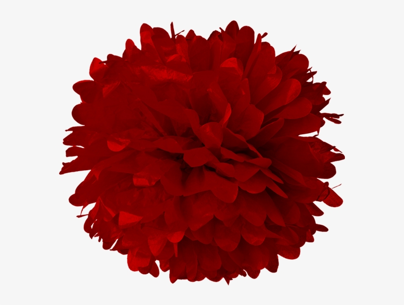 Red Velvet Tissue Pom Poms - Turquoise Blue 24 Inch Tissue Paper Flower Pom-pom, transparent png download