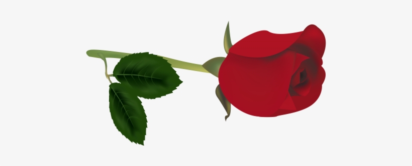 Red Rose Bud Png Clipart - Bud Clipart, transparent png download