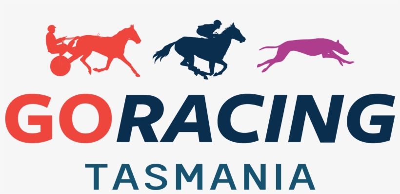 Horse Sports, transparent png download