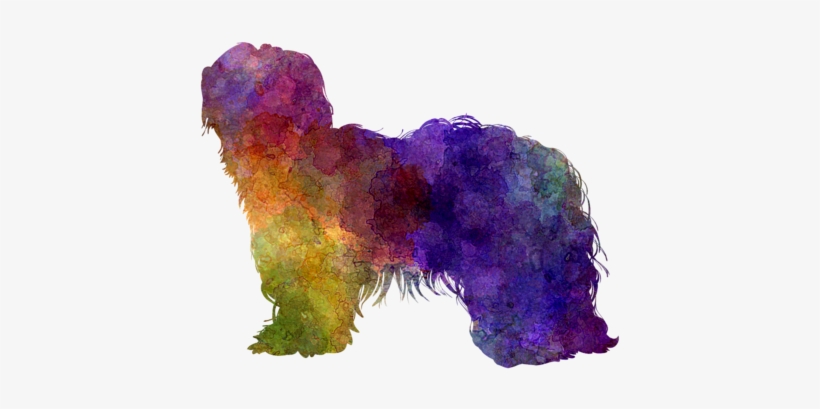 Bleed Area May Not Be Visible - Dutch Shapendoes Im Watercolor Deko Kissen, transparent png download