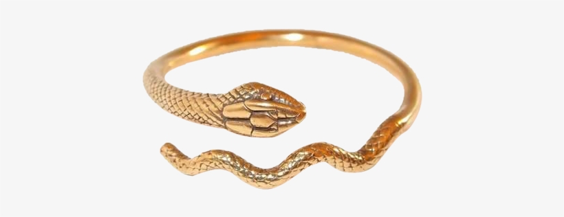 Mma Snake Bracelet Size Large With Details From King - Bracelet, transparent png download