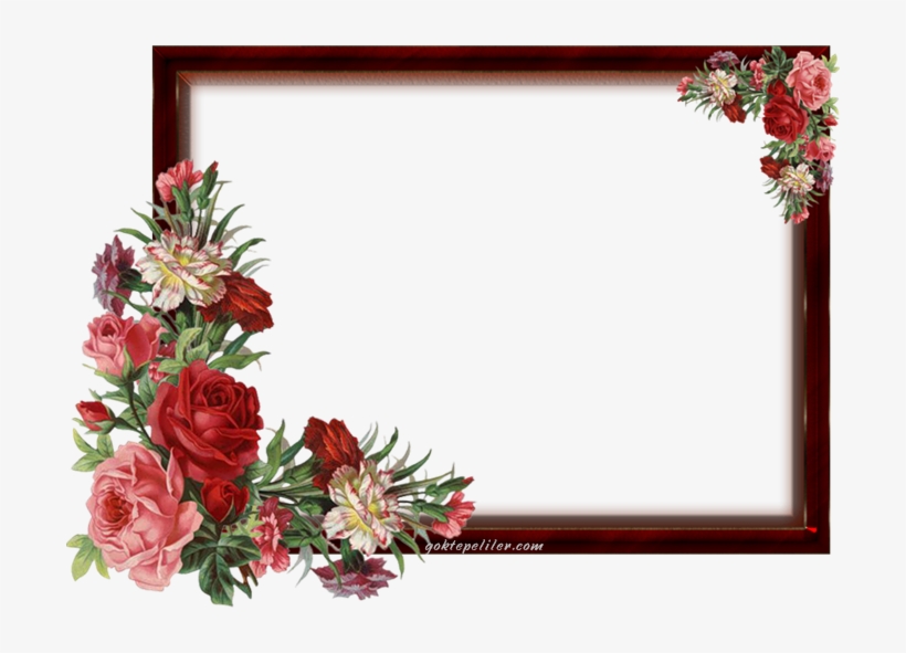 Çiçekli Çerçeve Resmi - Gift Of Life By Jean Lynch, transparent png download