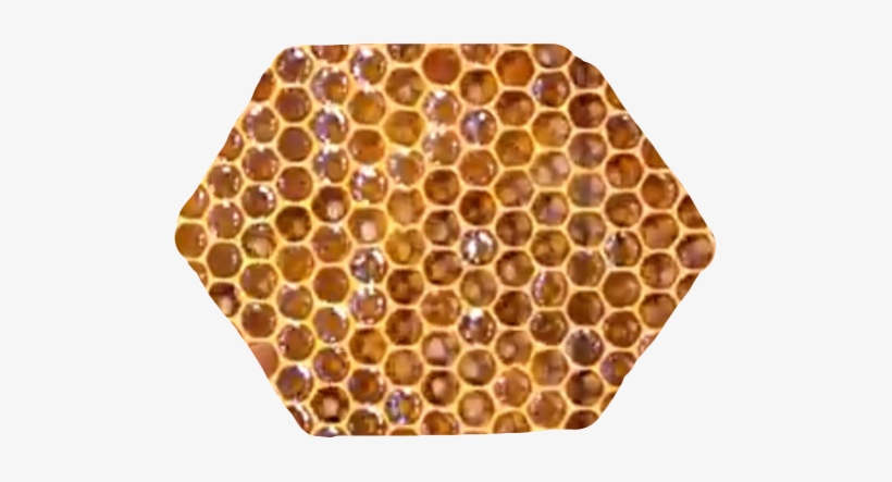 Report Abuse - Honeycomb, transparent png download