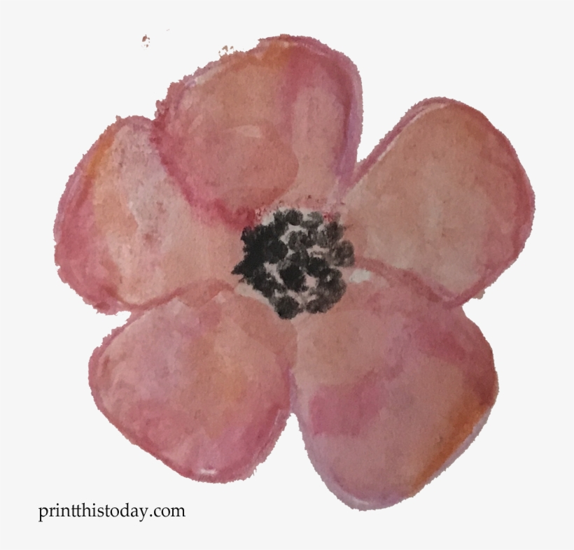 Watercolor Flower Clipart Free - Anemone, transparent png download