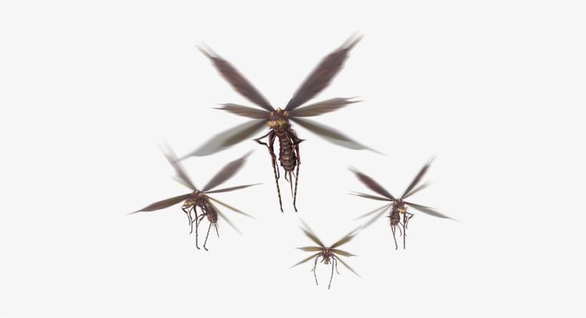 And The Vespoid, Which Can Be Found In The Ancient - Shiny Beetle Monster Hunter Generations, transparent png download
