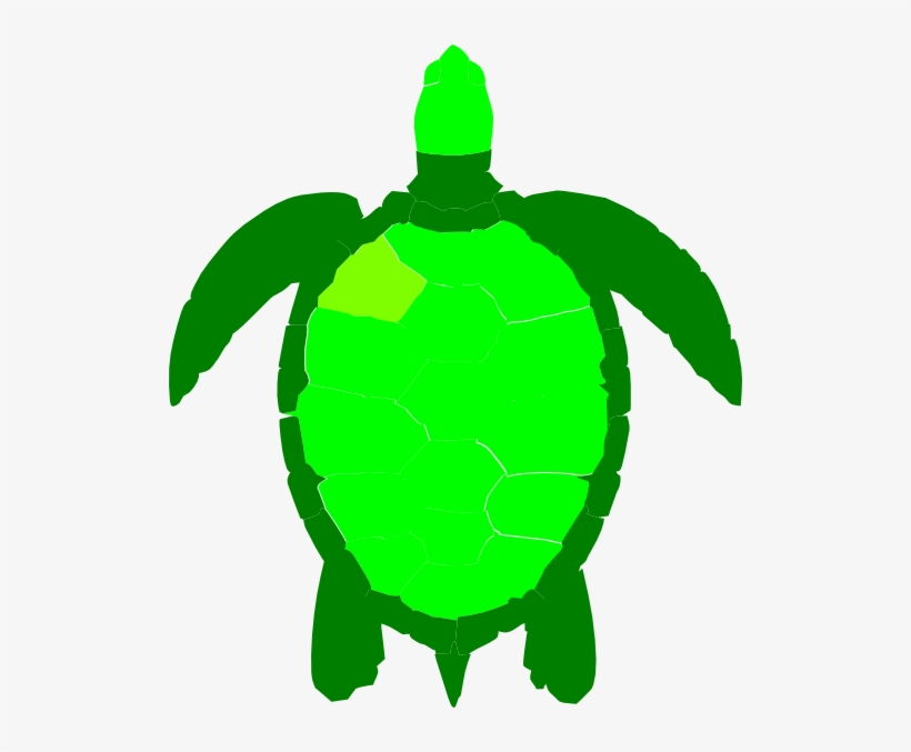 Sea Turtle Clipart - Green Sea Turtle Clipart, transparent png download