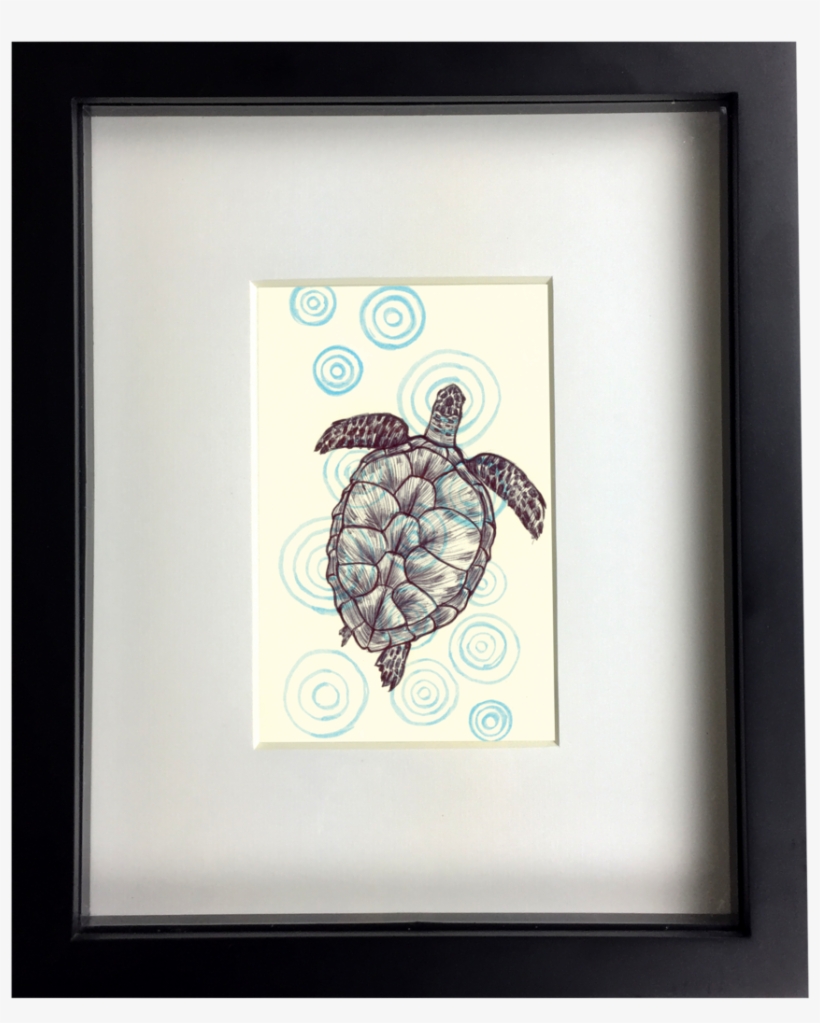 Seaturtle, transparent png download