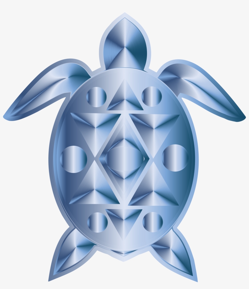 Big Image - Kemp's Ridley Sea Turtle, transparent png download