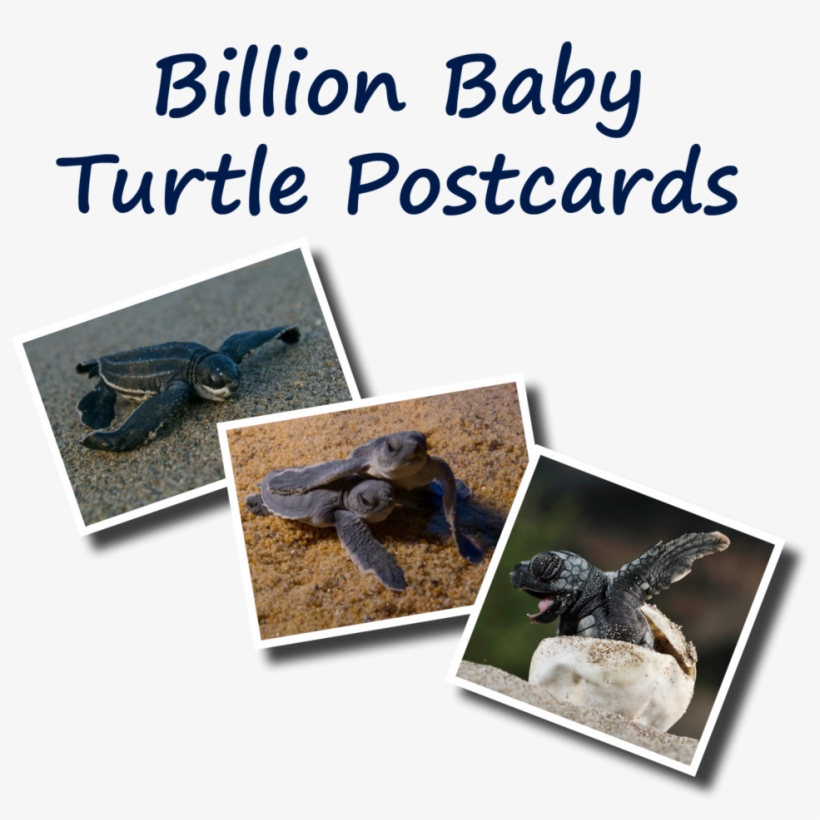 Postcards 10, transparent png download