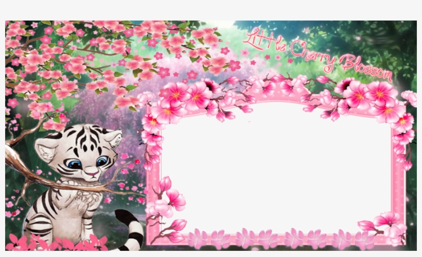Cherry Blossom Clipart Cherry Blossom Floral Design - Cherry Blossom, transparent png download