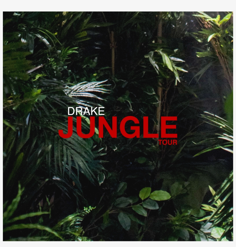 You Think You Can Do Somethin With The Jungle Art Maybe - Jungle Drake Album Cover, transparent png download