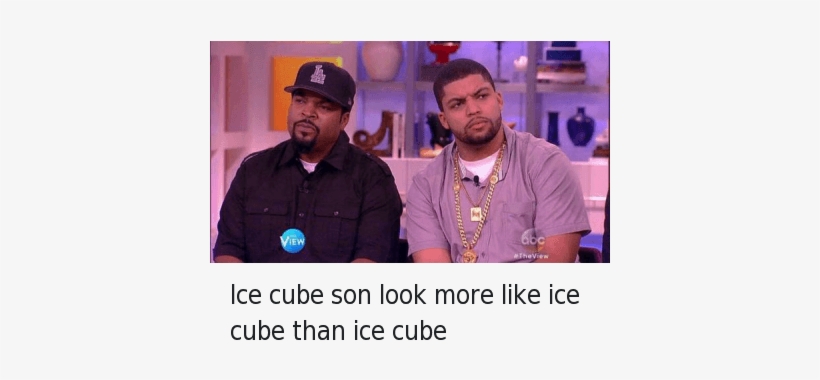 Ice Cube Son - Ice Cube Son Look, transparent png download