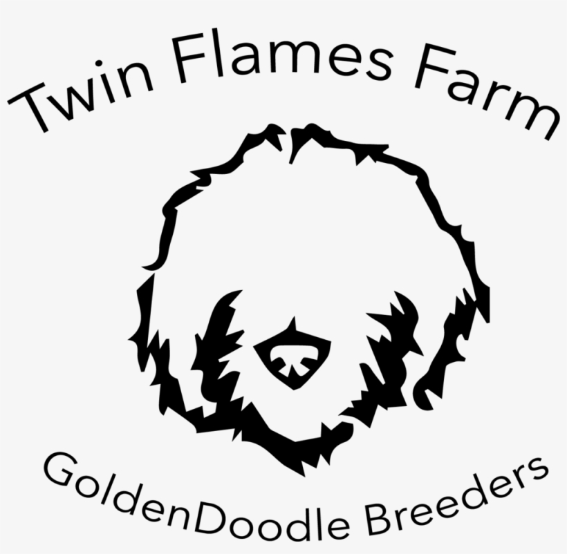 Twin Flames - Labradoodle, transparent png download