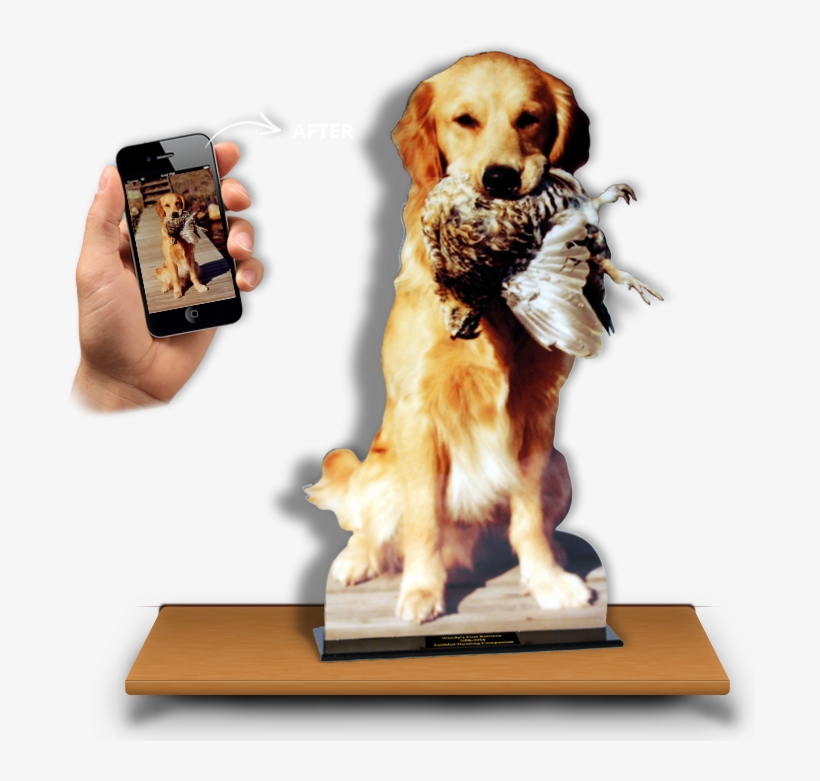 Hunting Dog Photo Cutout Trophy Photo Of Lasertrophy - Dog Catches Something, transparent png download