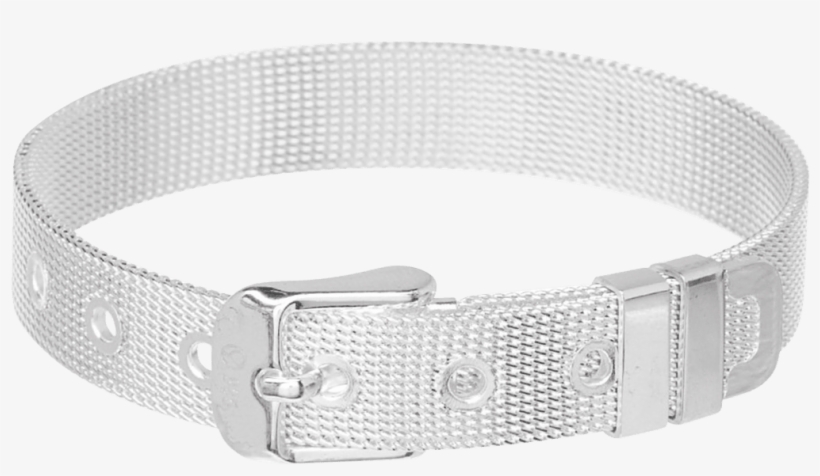 Belt, transparent png download
