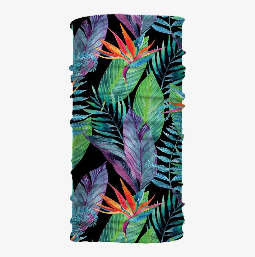 River Birch Buff - Aquarell-paradiesvogel 2 6 Untersetzer, transparent png download