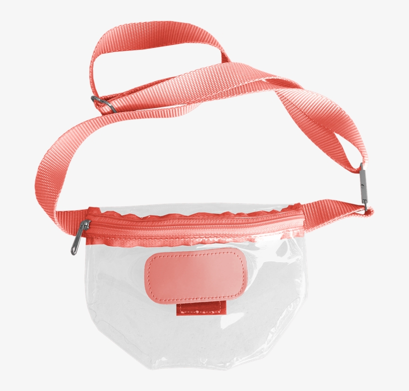 clear jon hart backpack