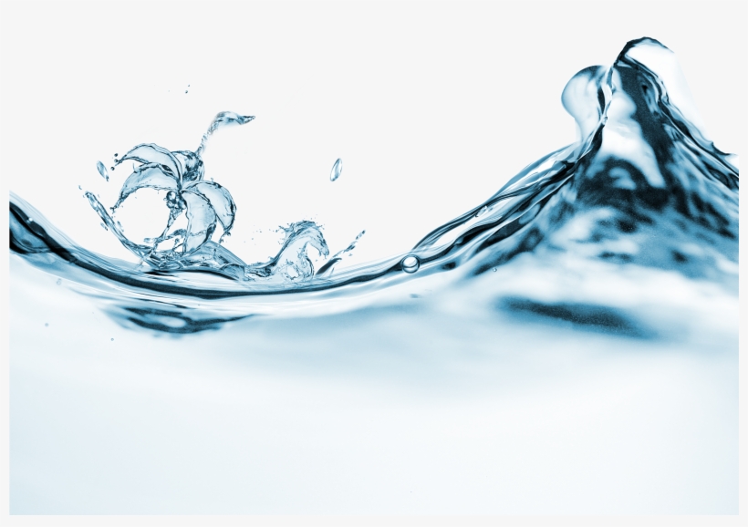 Water - Flower Beach, transparent png download