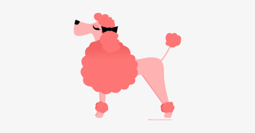 Jpg Free Download Sara Draws Daily - Png Poodle, transparent png download
