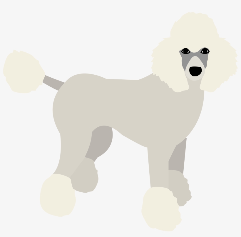 Poodle Puppy Dog Birthday Banner Personalized Party, transparent png download