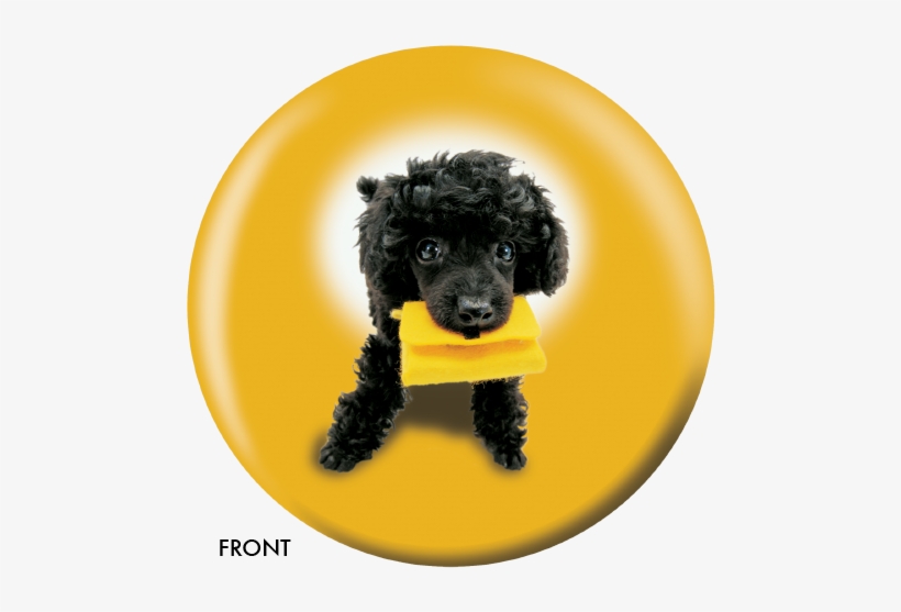 Dog And Friends Bowling Ball- Poodle, transparent png download