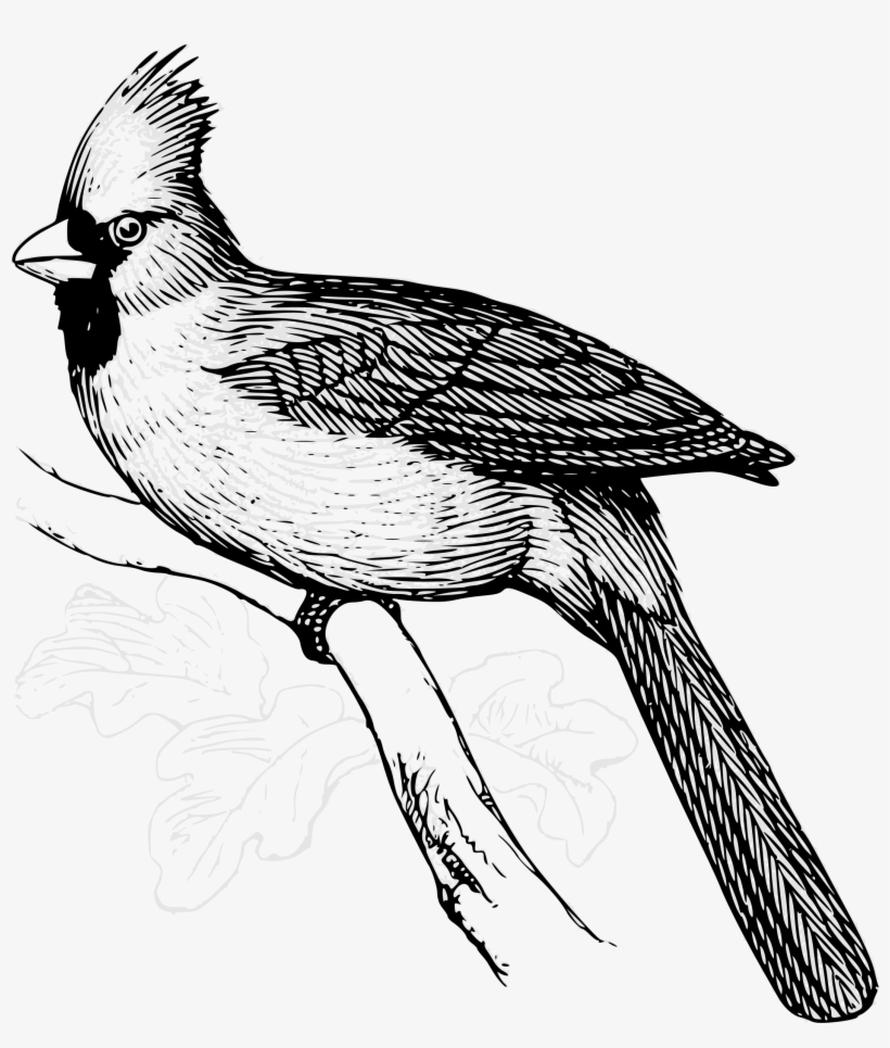 This Free Icons Png Design Of Cardinal Bird Line Art, transparent png download