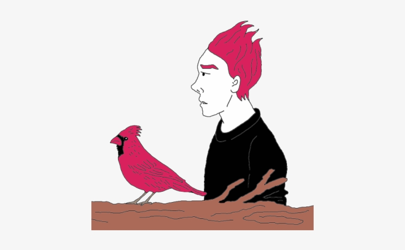 Cardinal - Pheasant, transparent png download