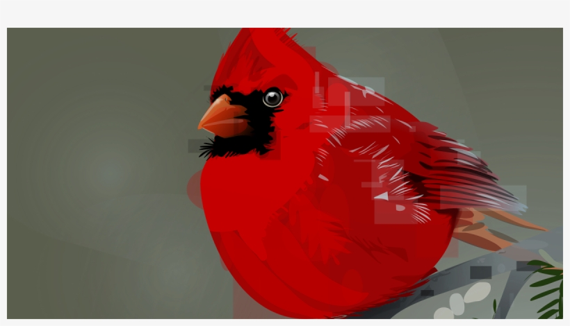 Northern Cardinal, transparent png download