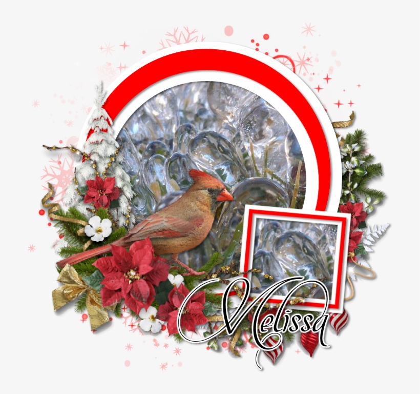 Cardinal - Northern Cardinal, transparent png download
