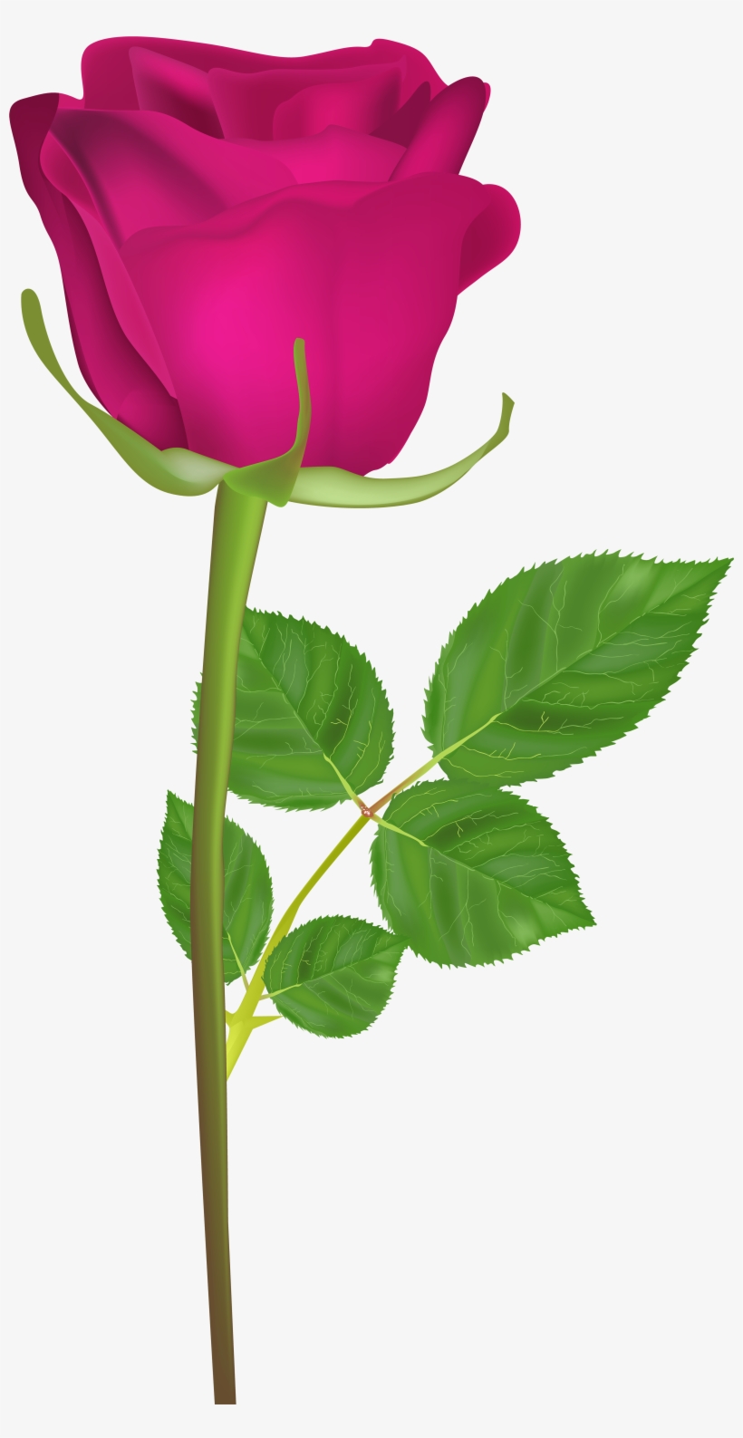 Clipart Library Stock With Pink Png Clip Art Image, transparent png download