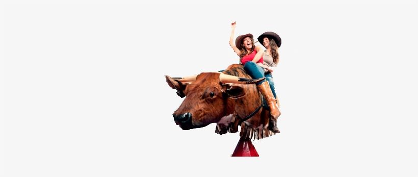 Bounce Houses, transparent png download