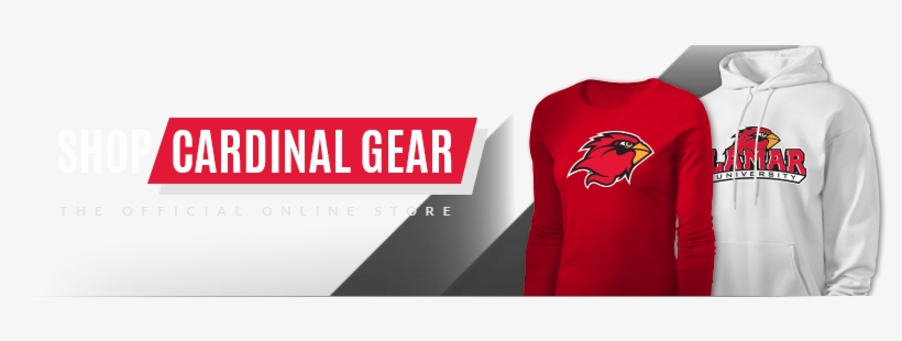 Test - Bald Eagle, transparent png download