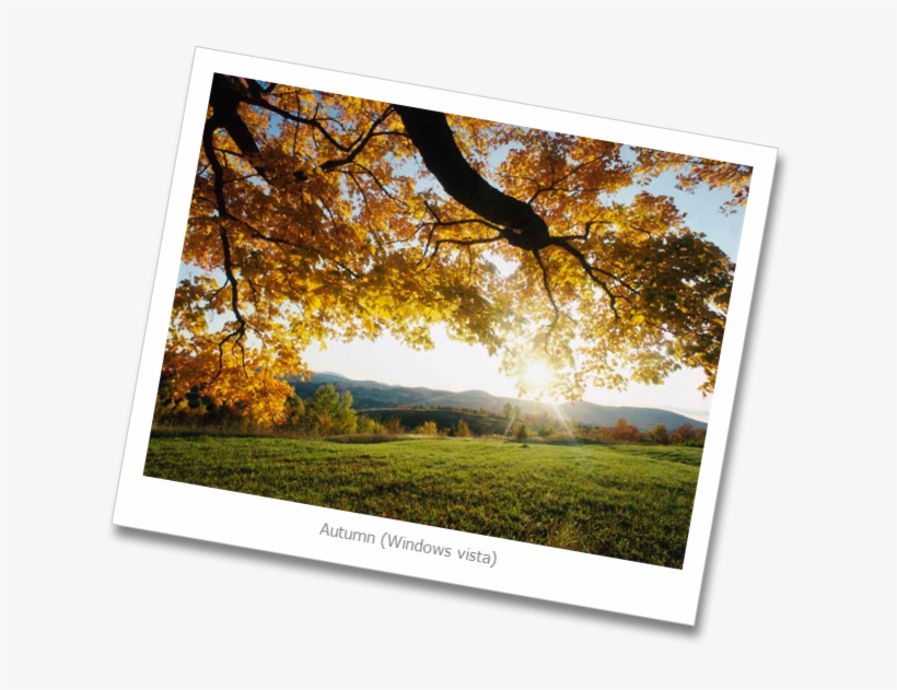 Autumn-leaves - Autumn Leaves, transparent png download