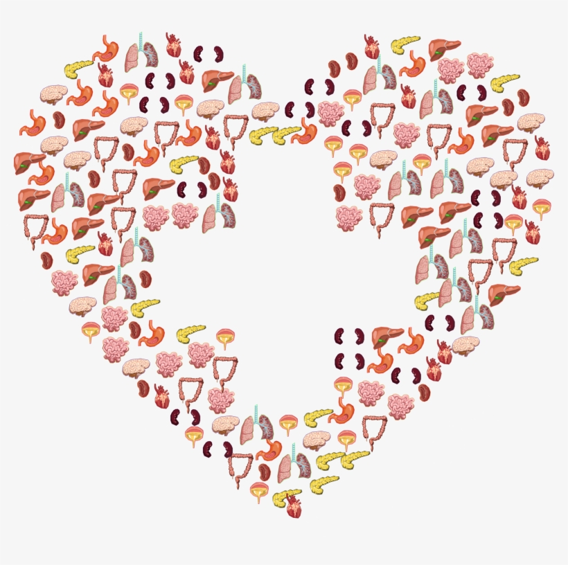 This Free Icons Png Design Of Human Organs First Aid, transparent png download