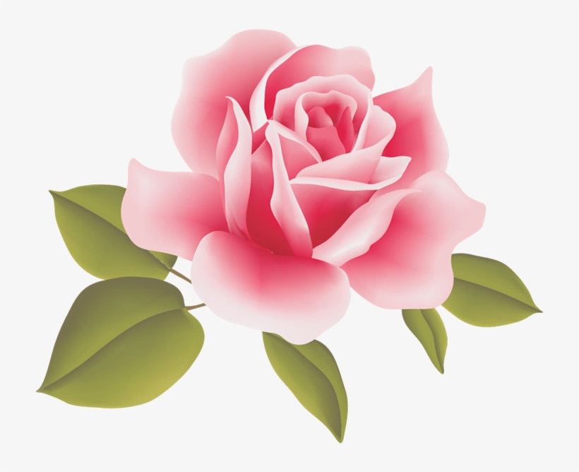 Clipart Resolution 720*588 - Rose Art Flowers, transparent png download