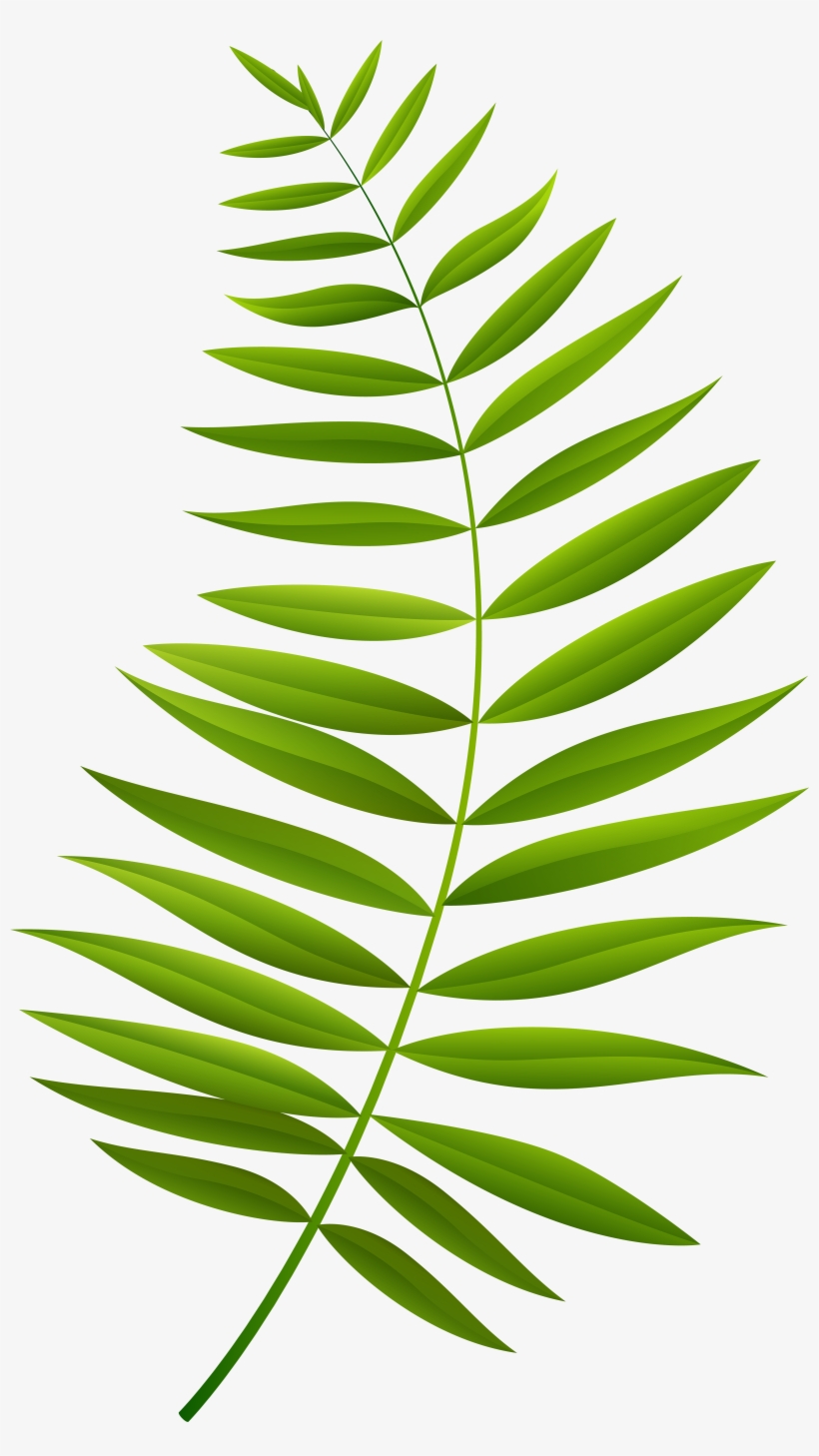 Palm Branch Png, transparent png download