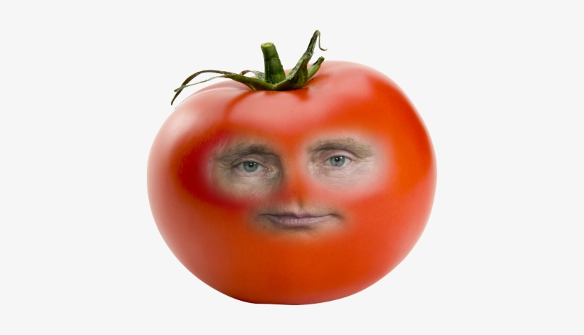 Image - Tomato Plant Seeds By Seed-balls.com - Tomato Seed, transparent png download