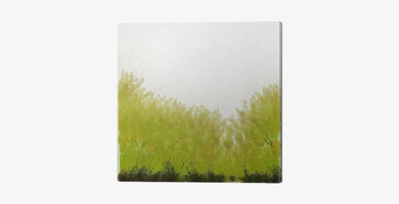 Watercolour Green Grass Background Canvas Print • Pixers® - Grass, transparent png download