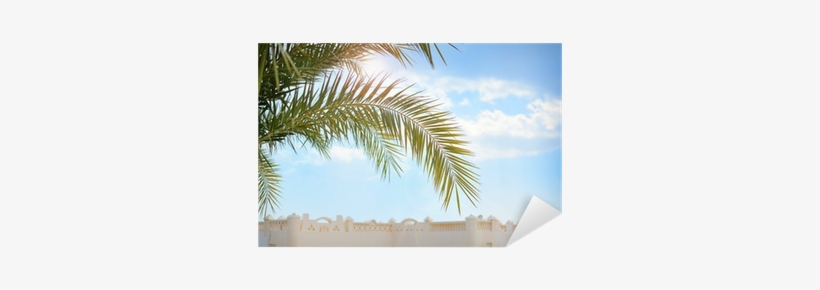 Beautiful Palm Branch On Blue Sky Background Sticker - Wall, transparent png download