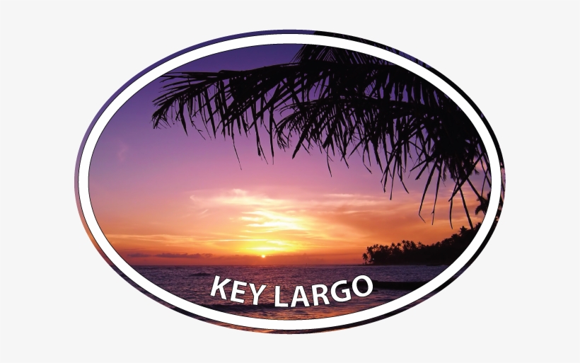 Palm Branch Sunrise - Sunset, transparent png download