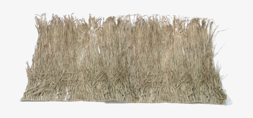 Grass Mats - 4x4 Grass Mats, Beige, transparent png download