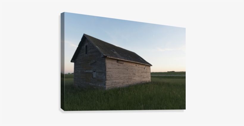 A Wooden Shed In The Middle Of A Grass Field Canvas - Supplier Generic A Wooden Shed In The Middle Of A Grass, transparent png download