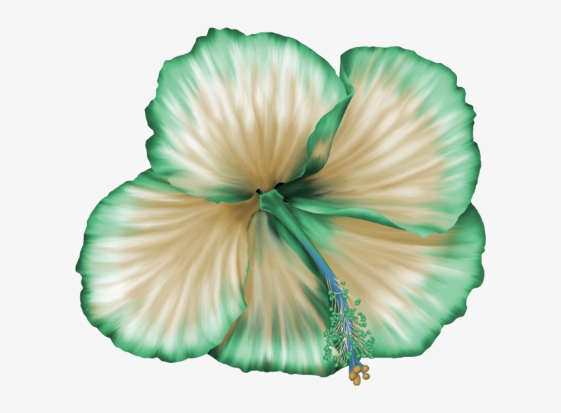 Flower, transparent png download