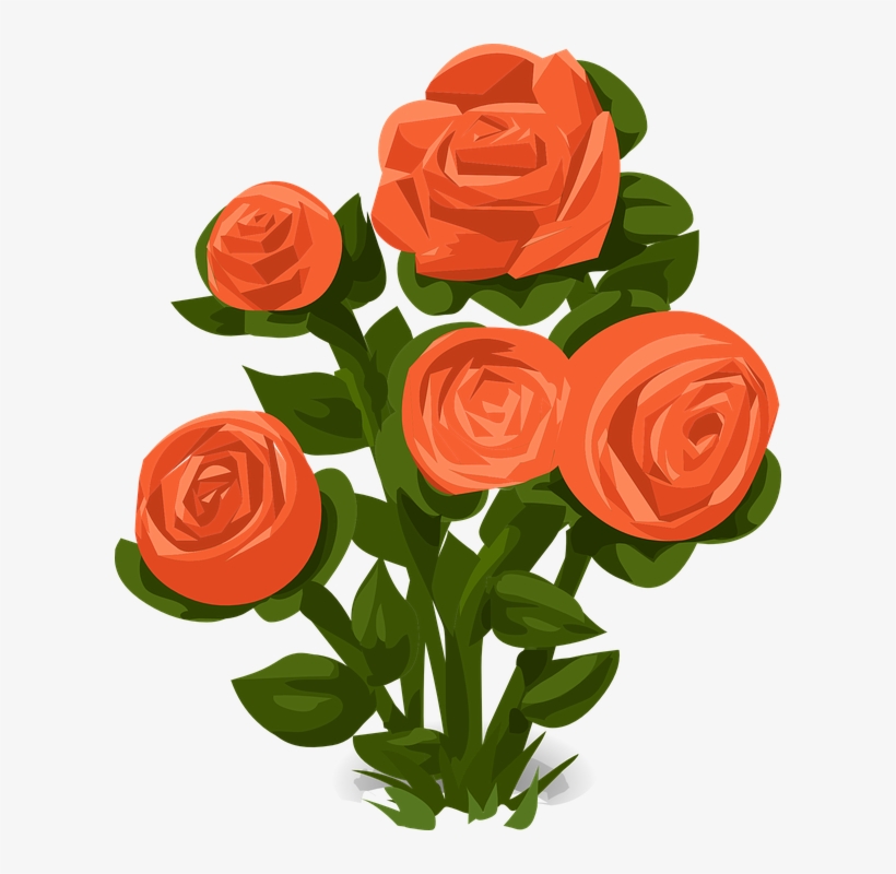Rose Bush Roses Orange - Rose Bush Clip Art, transparent png download